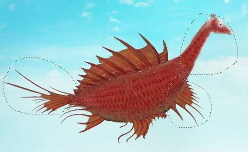 آموزش طراحی موجود خیالی در فتوشاپ